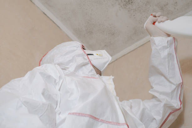 Water Damage Restoration in Moyock, NC