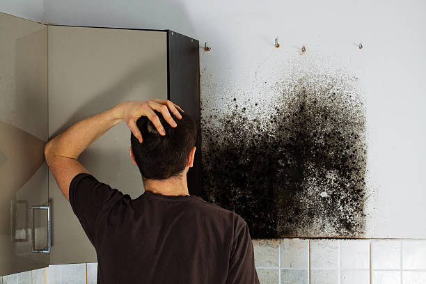Best Mold Testing  in Moyock, NC